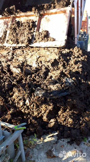 Навоз под посадку картофеля