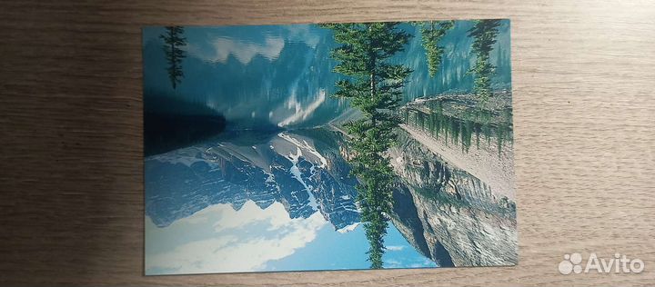 Цветной принтер Epson L100