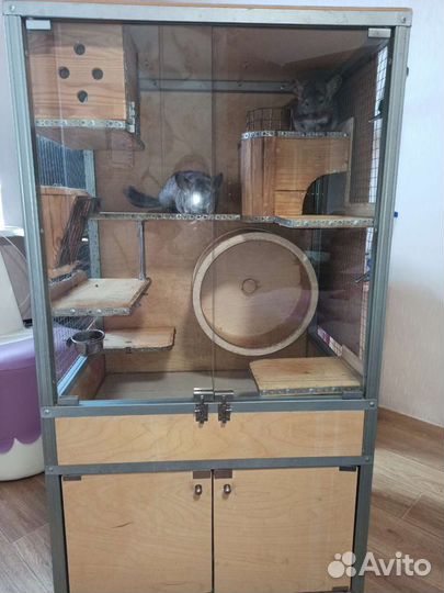 Витрина (клетка) для шиншиллы