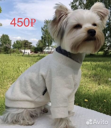 Кофта для мини собак