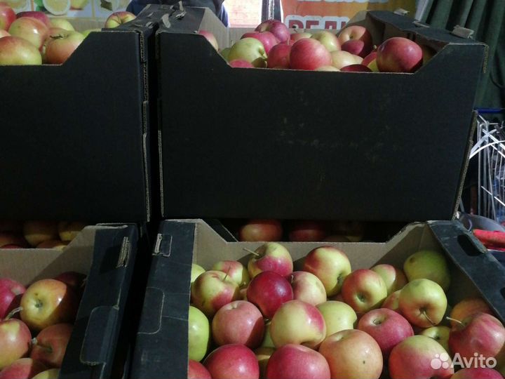 Яблоки айдаред