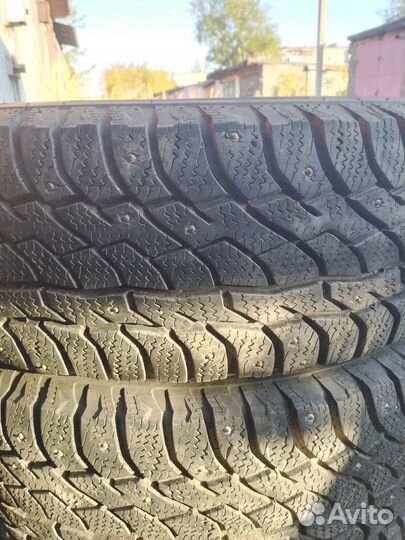 Viatti Bosco Nordico V-523 215/65 R16