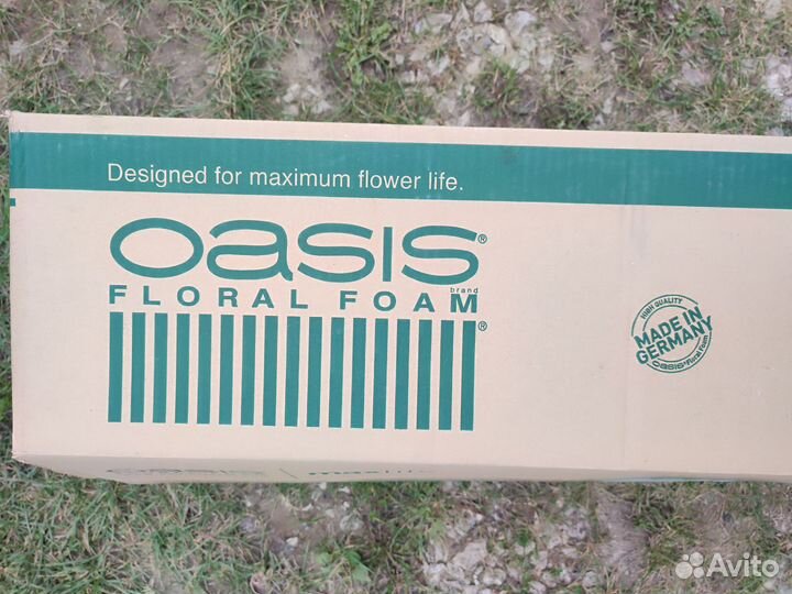 Флористический оазис