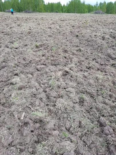 Участок 252 га (СНТ, ДНП)