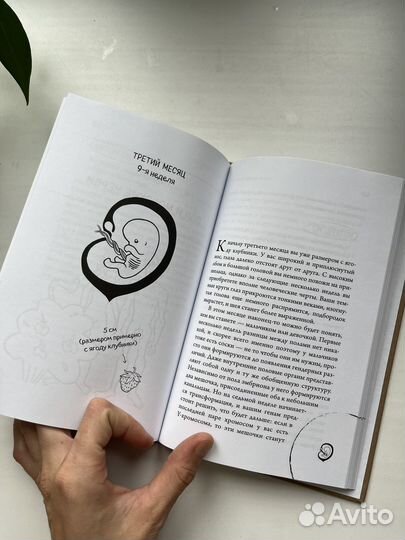 Книга 280 дней до вашего рождения