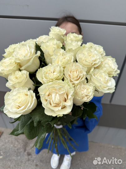 Розы Эквадор 80см Доставка Букет из роз