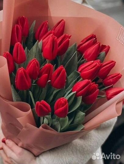 Цветы тюльпаны