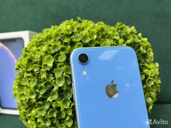 iPhone Xr, 128 ГБ