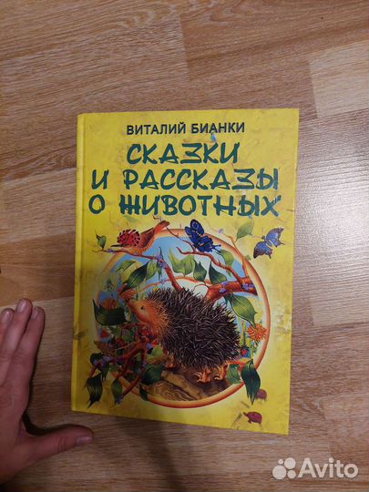 Новая книжка Сказки и рассказы о животных Бианки