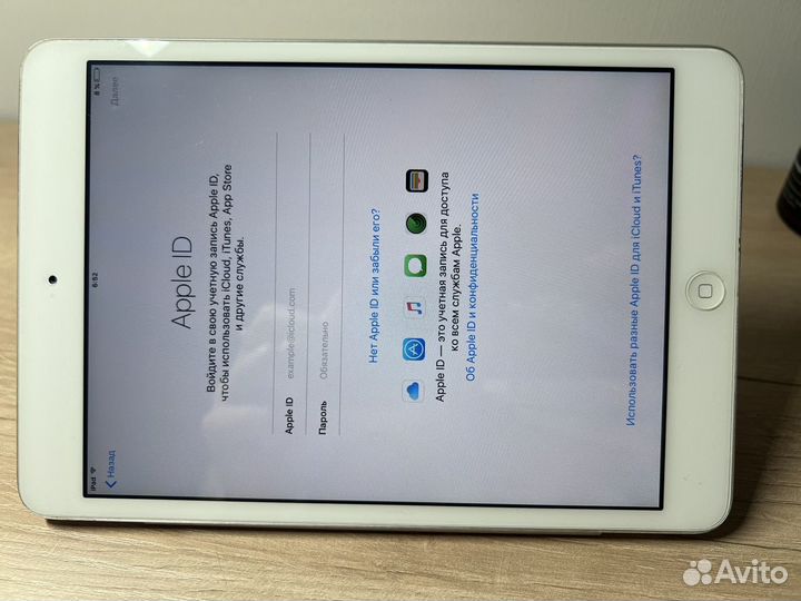 iPad mini 1