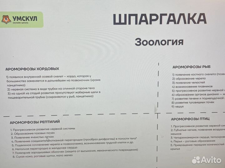 Шпаргалки егэ биолгия