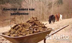 Продам навоз