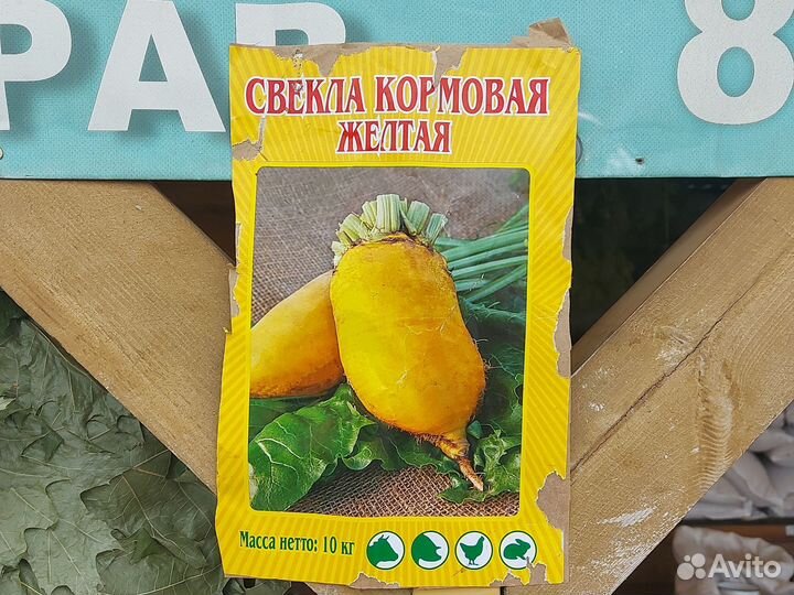 Свекла кормовая