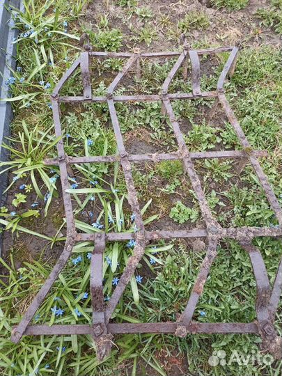 Борона зубовая