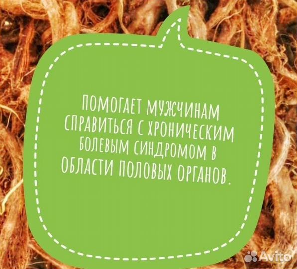 Красный корень копеечник