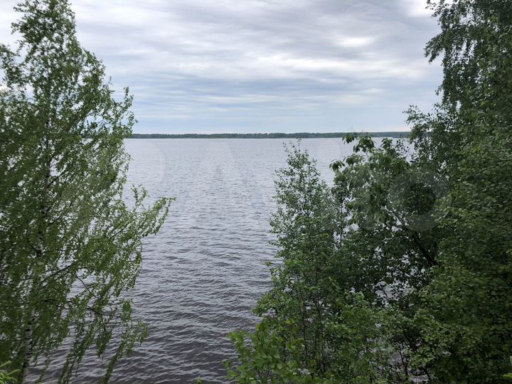 Участок 20 сот. (ИЖС)