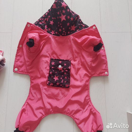 Одежда для маленьких собак