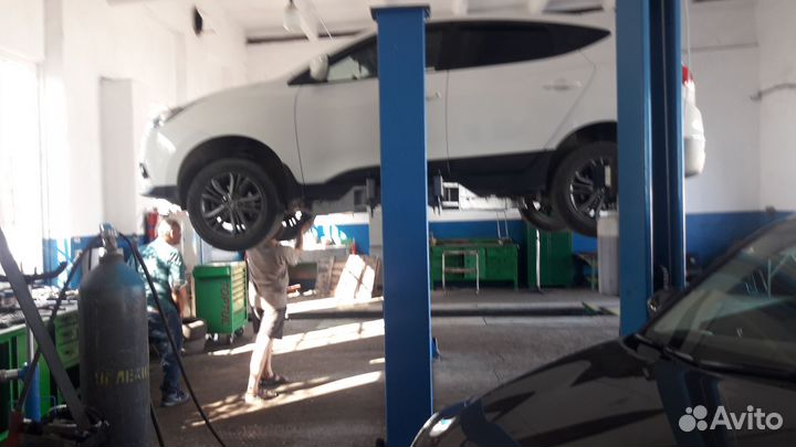 Сдам в аренду сто
