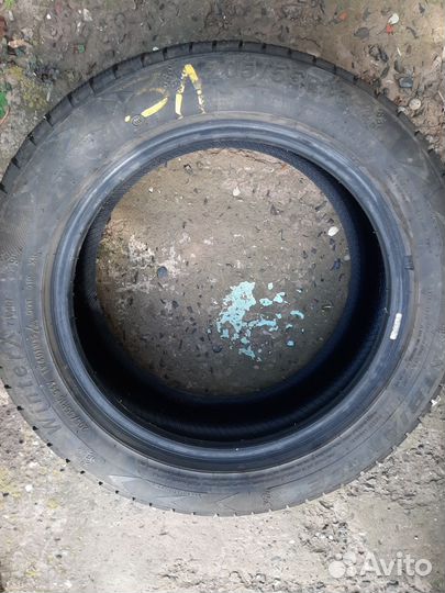 Triangle WinterX TW401 205/55 R16 92T