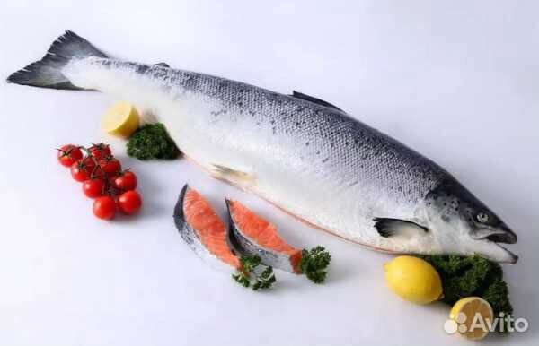 Сёмга Чили Premium