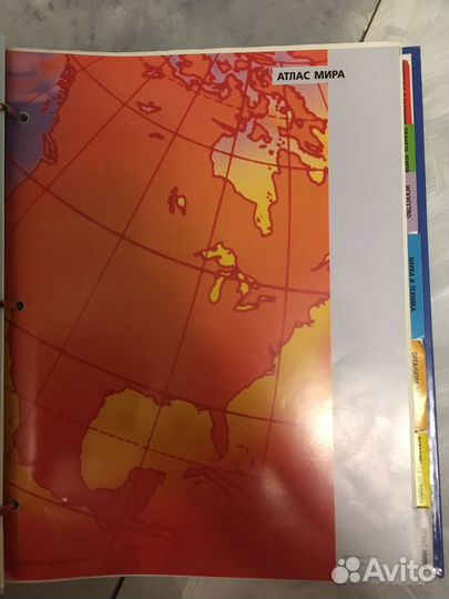 Журнал древо познания