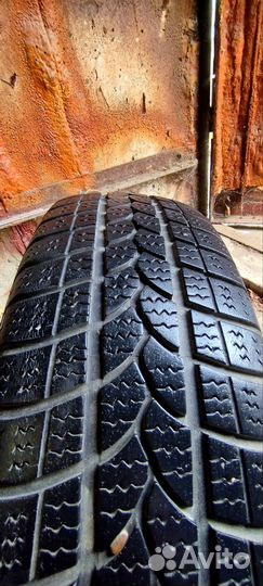 Tigar Winter 1 175/70 R13 82T