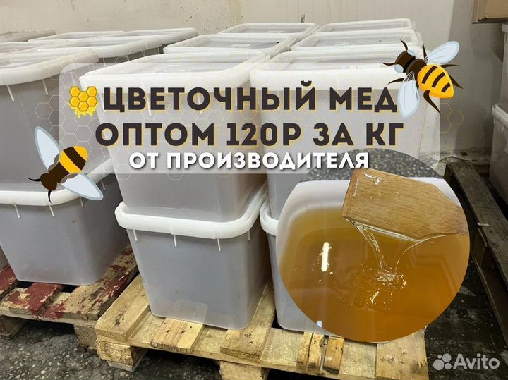 Цветочный свежий мед оптом
