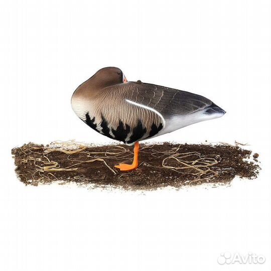 Чучело гуся Белолобый super xpe 5 шт 3 комплекта