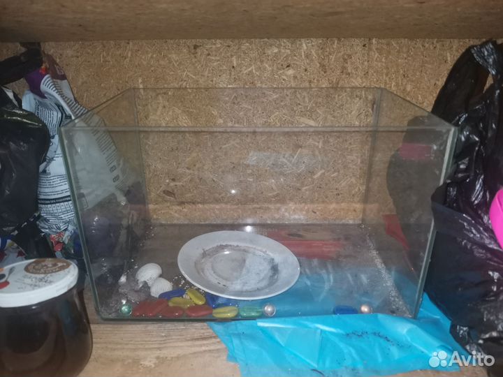 Аквариум