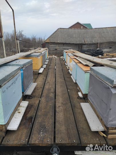 Прицеп для перевозки пчел