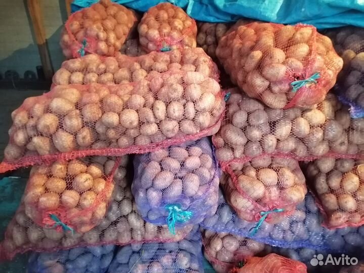 Продам картофель