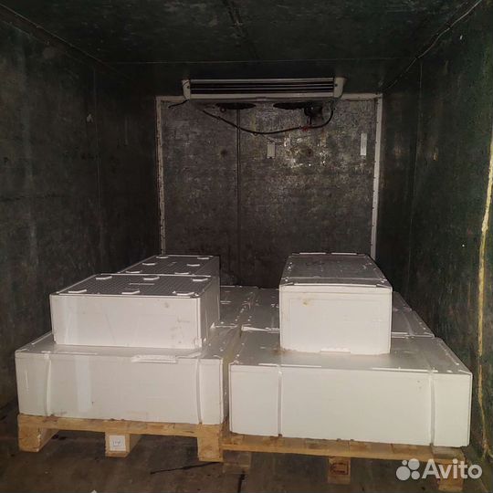 Грузоперевозки