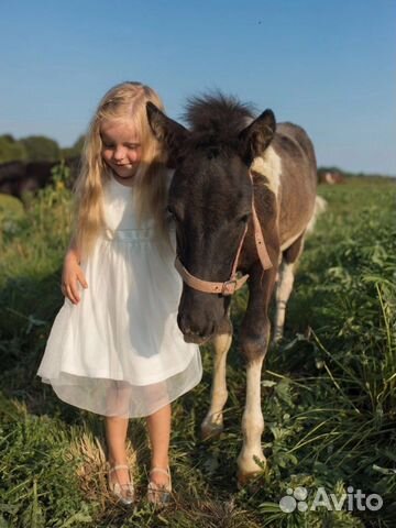 Прогулки верхом, катание детей и взрослых