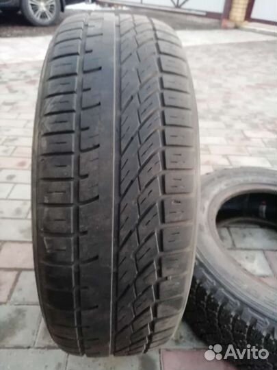 Tigar Ice 195/65 R15 22B