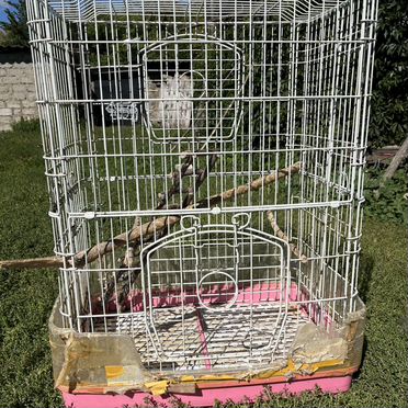 Большая Клетка для грызунов