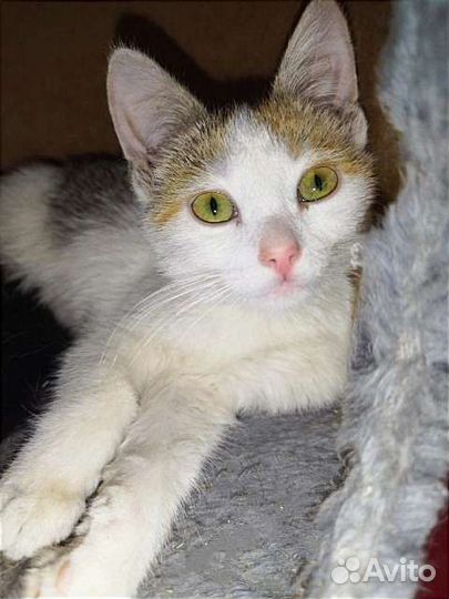 Ксюша в добрые ручки:)