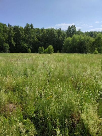 Участок 5,2 сот. (ИЖС)