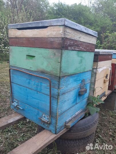 Улей для пчел бу