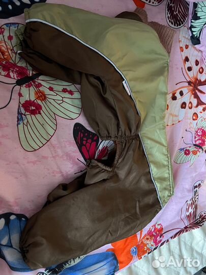 Одежда для собак