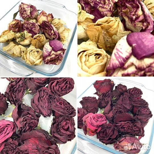 Сухоцветы розы, бутоны роз сухие