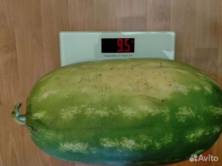 Семена вкусных арбузов