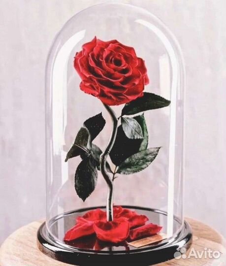 Роза в колбе. Любые размеры