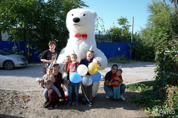 Ростовой мишка на праздник. Экспресс поздравление