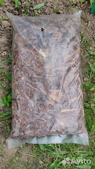 Мульча из коры сосны байкальской для декора крупна