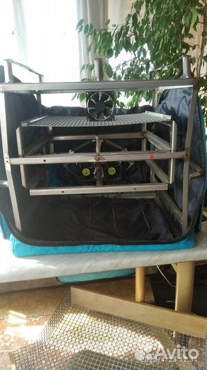 Продаю инкубатор тгб