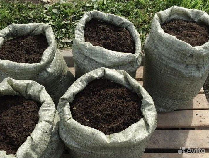 Навоз конский