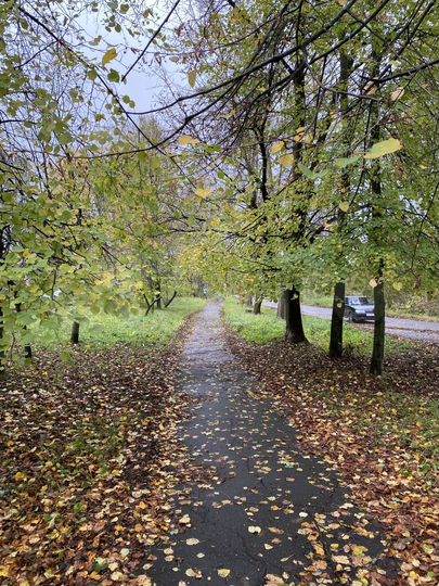 3-к. квартира, 66 м², 2/5 эт.