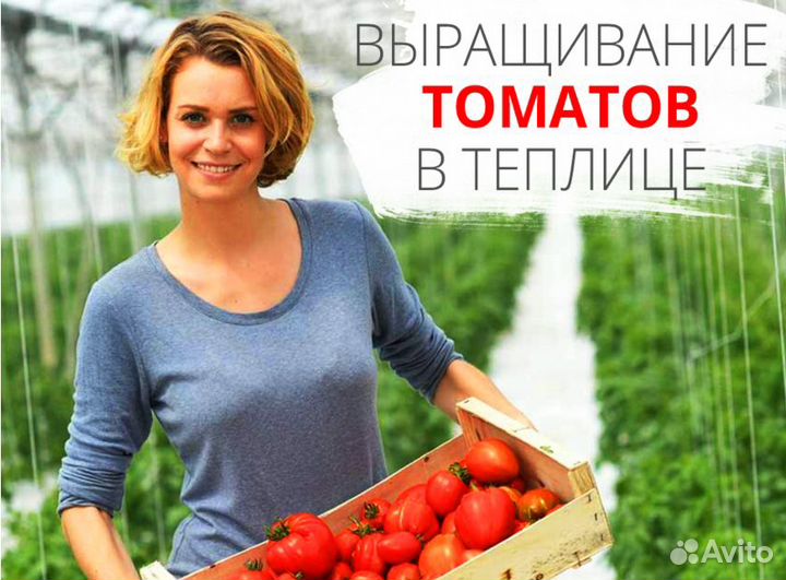 Сборщики овощей/Вахта/Теплица/Кашира/мо/проезд