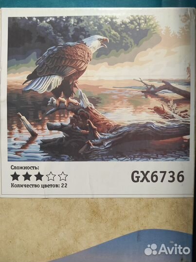 Картина по номерам новая