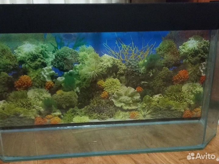 Аквариум 120 литров